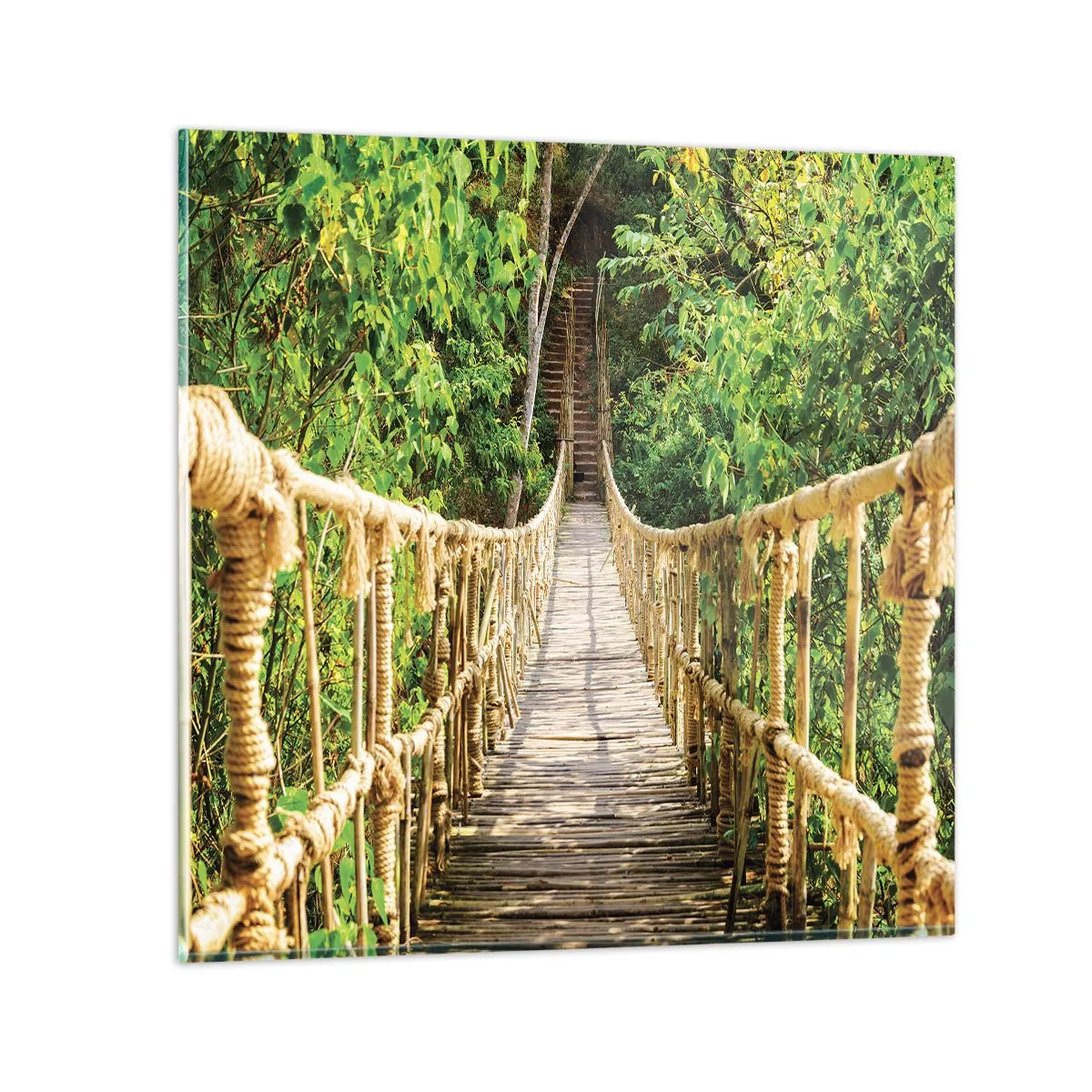 Schilderen op glas - Opgeschort in het groen - 50x50 cm