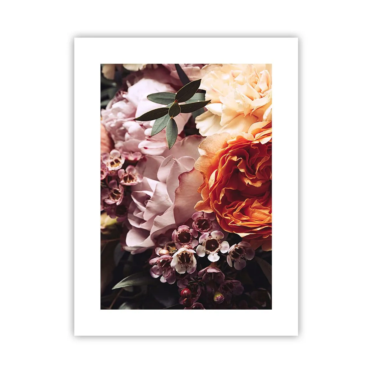 Poster - Gehuld in schoonheid - 30x40 cm