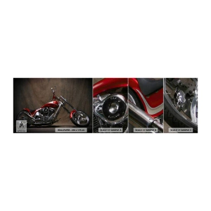 Fotobehang Monster Premium Canvas - Rode en zilveren schoonheid - Motor, Bijl, Automobiel - 100x30 cm