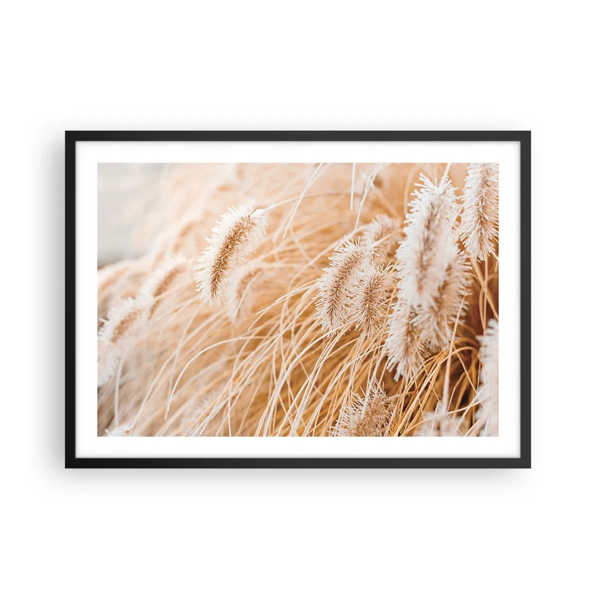 Poster in een zwarte lijst - Het gouden geritsel van het gras - 70x50 cm