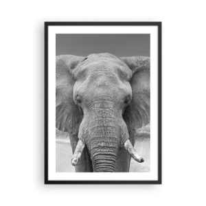 Poster in een zwarte lijst - Olifant in zwart-wit kunstfotografie - 50x70cm - Welkom in mijn wereld - Moderne wanddecoratie voor woonkamer en slaapkamer ARTTOR