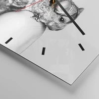 Dash schild