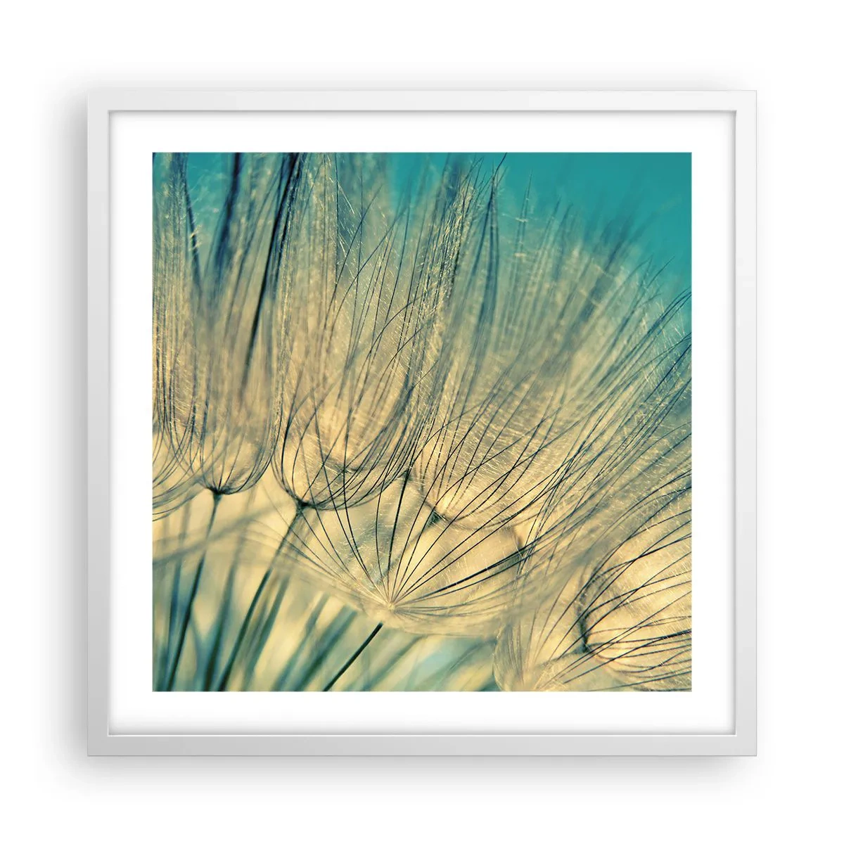 Poster in een witte lijst - In afwachting van de wind - 50x50 cm