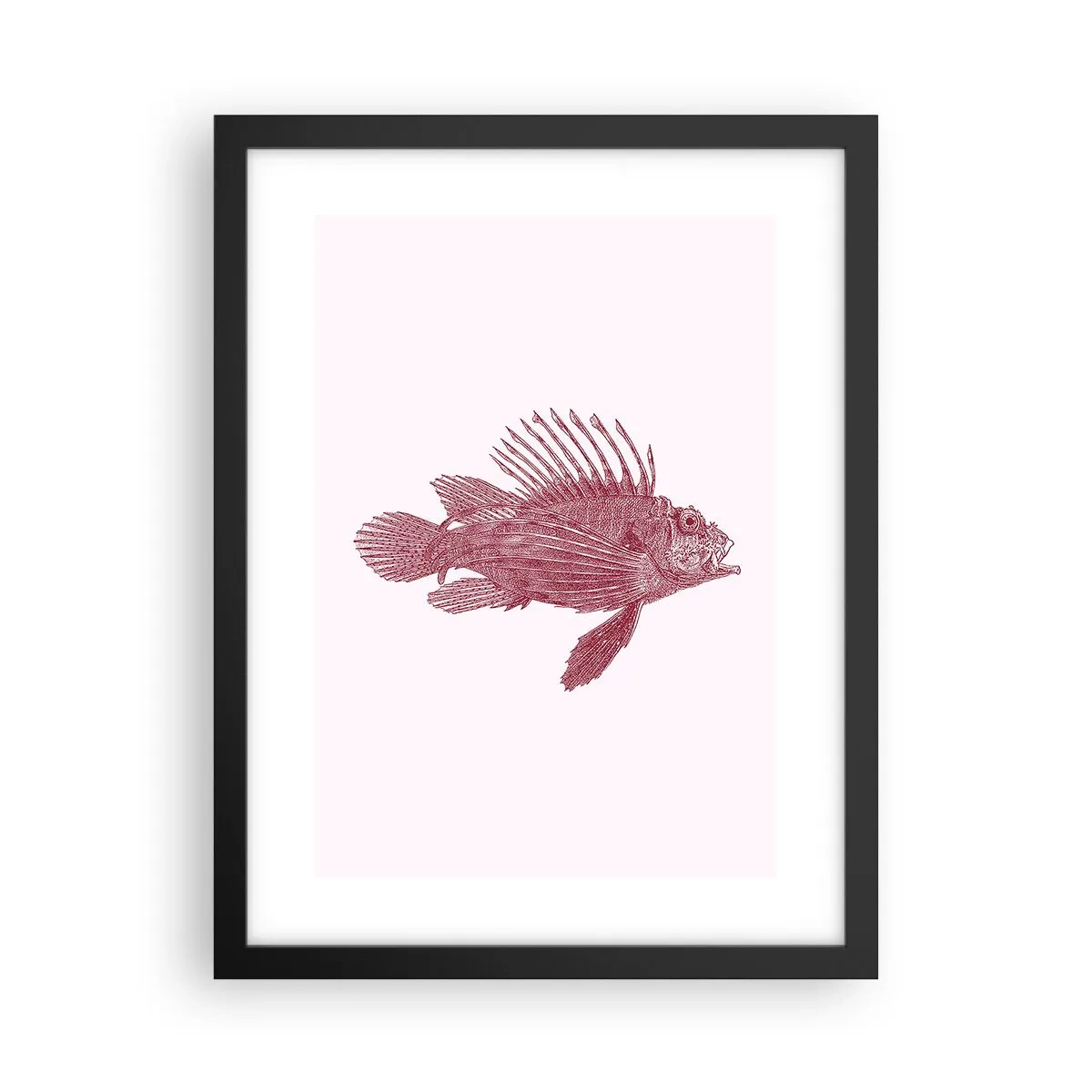 Poster in een zwarte lijst - Inwoner van exotische wateren - 30x40 cm