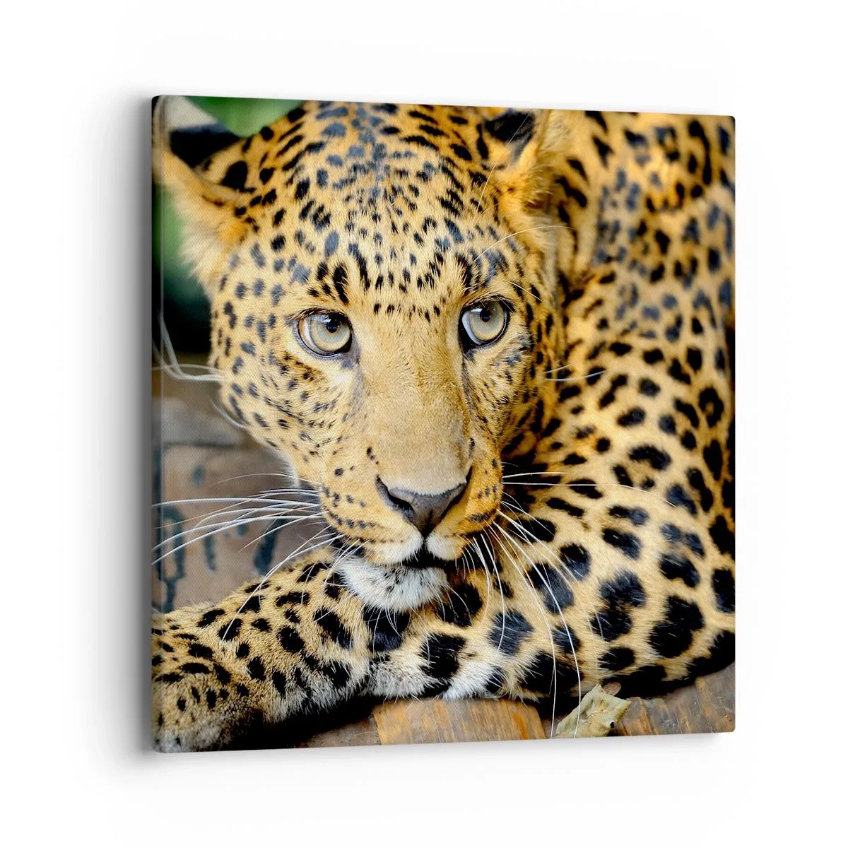 Schilderen op canvas - Wees niet bang, kom maar hier - 40x40 cm