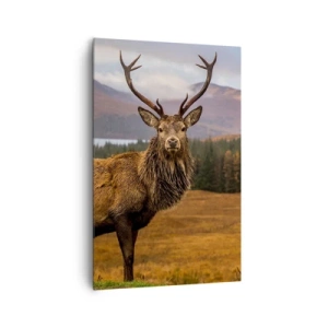 Schilderen op canvas - De majesteit van de natuur - 80x120 cm