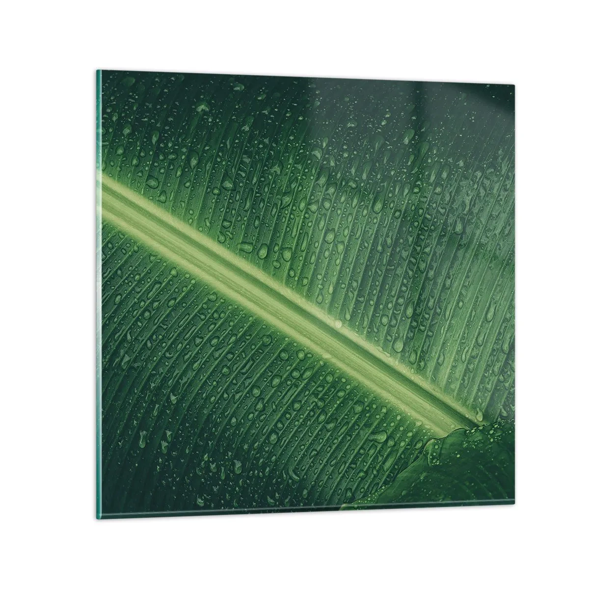 Schilderen op glas - De structuur van groen - 60x60 cm