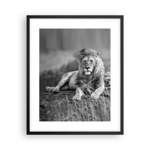 Poster in een zwarte lijst - Koninklijke siësta - 40x50 cm