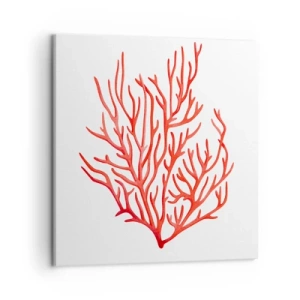 Schilderen op canvas - Koraal filigraan - 50x50 cm