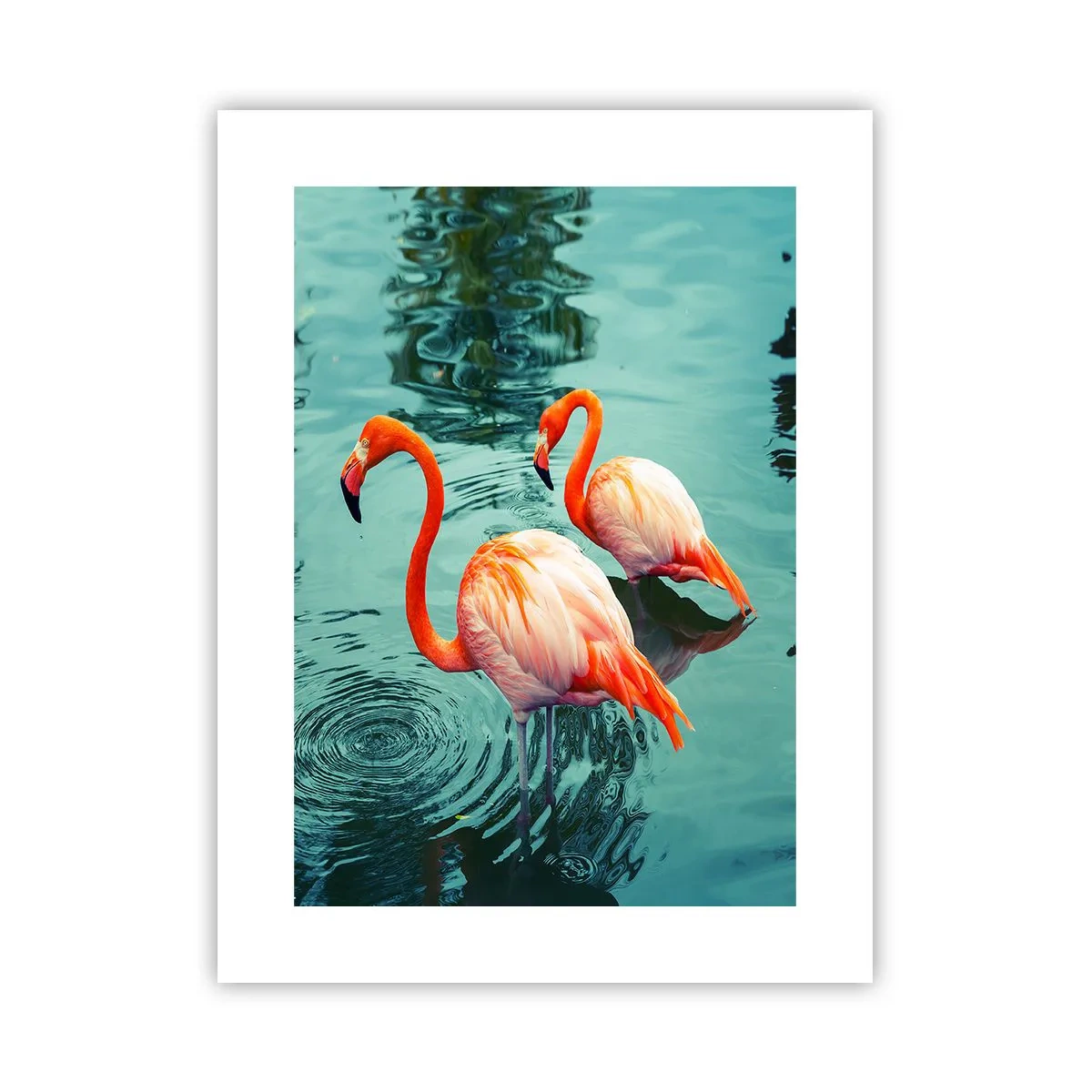 Poster - We zijn nu in de mode - 30x40 cm