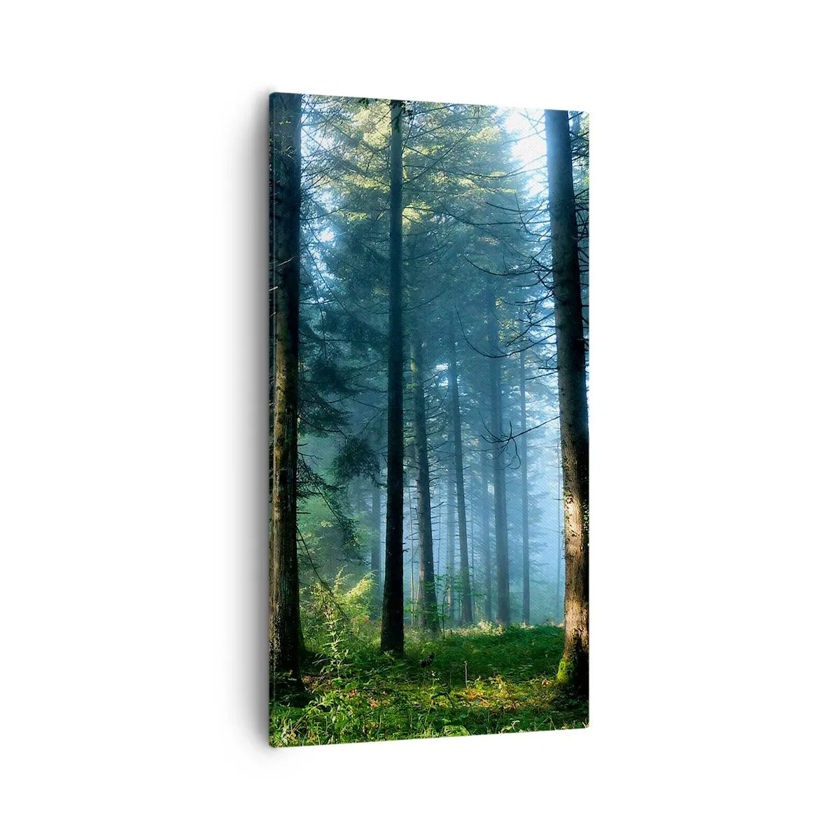 Schilderen op canvas - Stralend in de ochtend - 55x100 cm