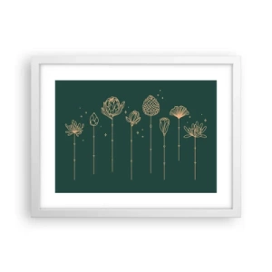 Poster in een witte lijst - Kruidenfamiie / Familie Ziółkowsi ?? - 40x30 cm