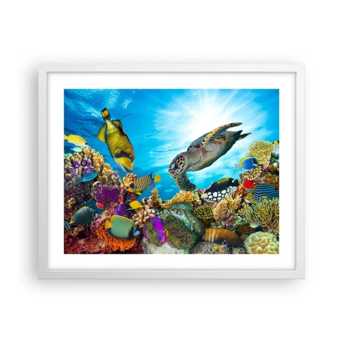 Poster in een witte lijst - Koraalpromenade - 50x40 cm