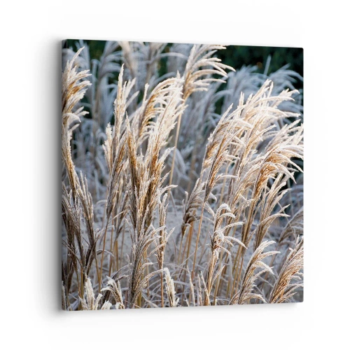 Schilderen op canvas - Gekleed met vorst - 30x30 cm