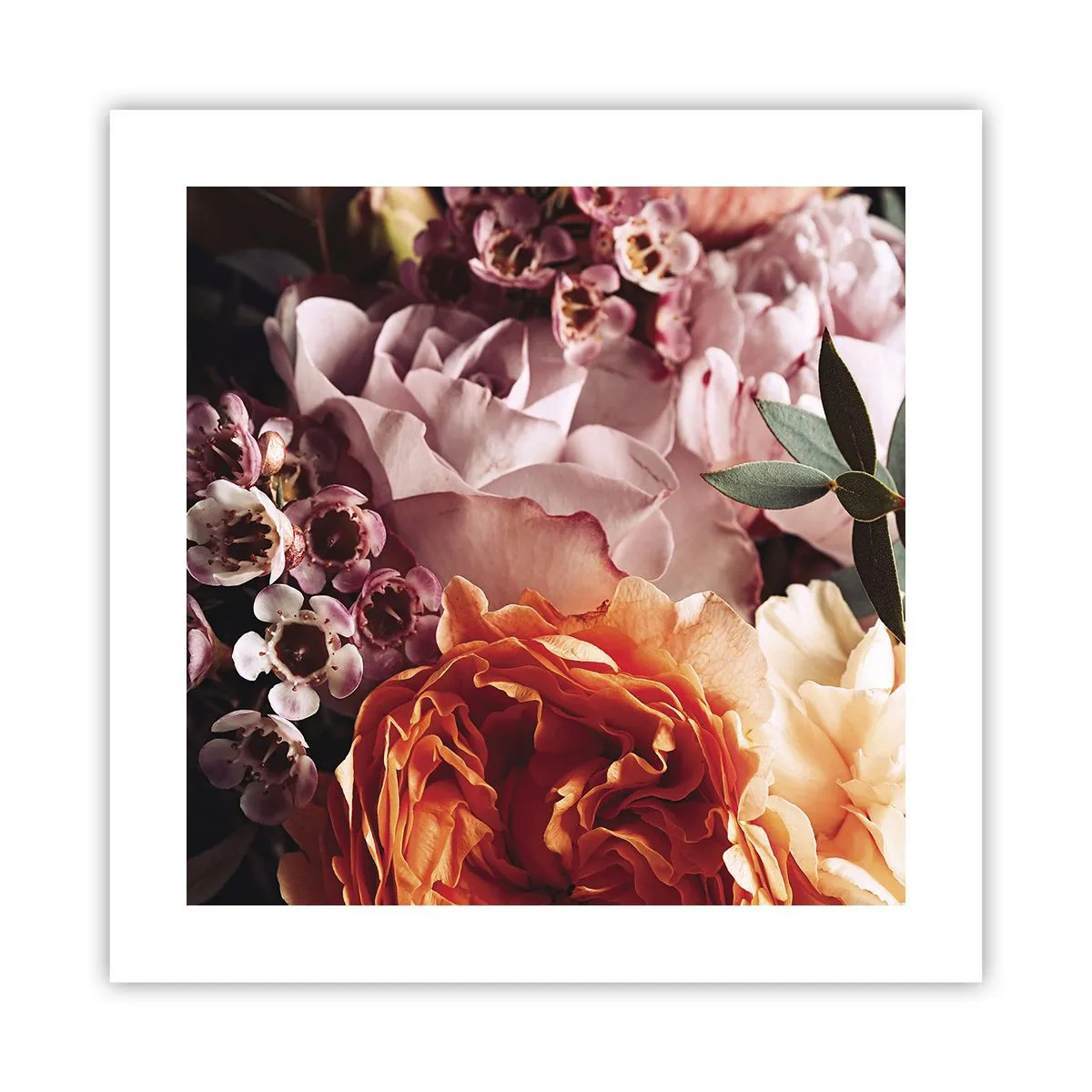 Poster - Gehuld in schoonheid - 40x40 cm