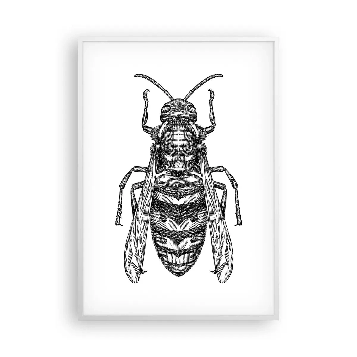 Poster in een witte lijst - Van een insectenplaneet - 70x100 cm