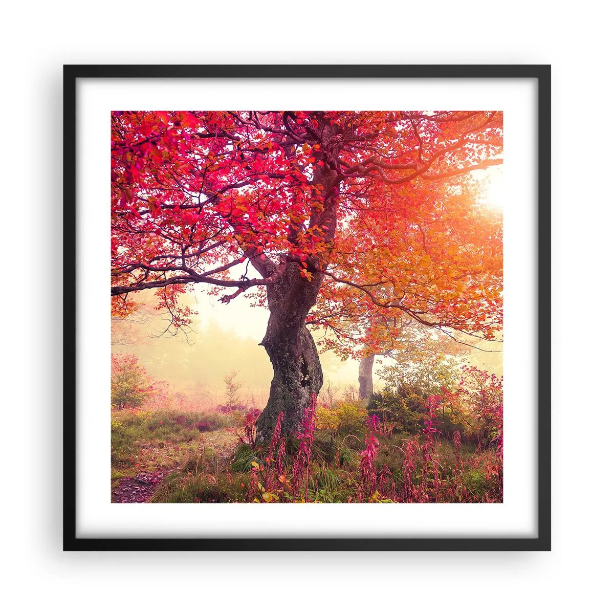 Poster in een zwarte lijst - Bloeiende razernij - 50x50 cm
