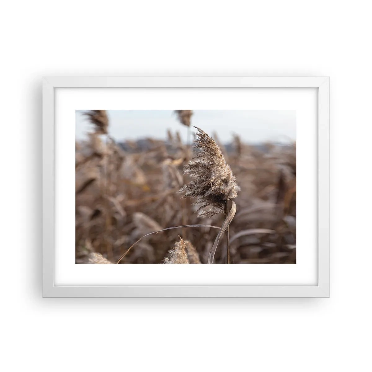 Poster in een witte lijst - Tijd om met de wind mee te gaan - 40x30 cm