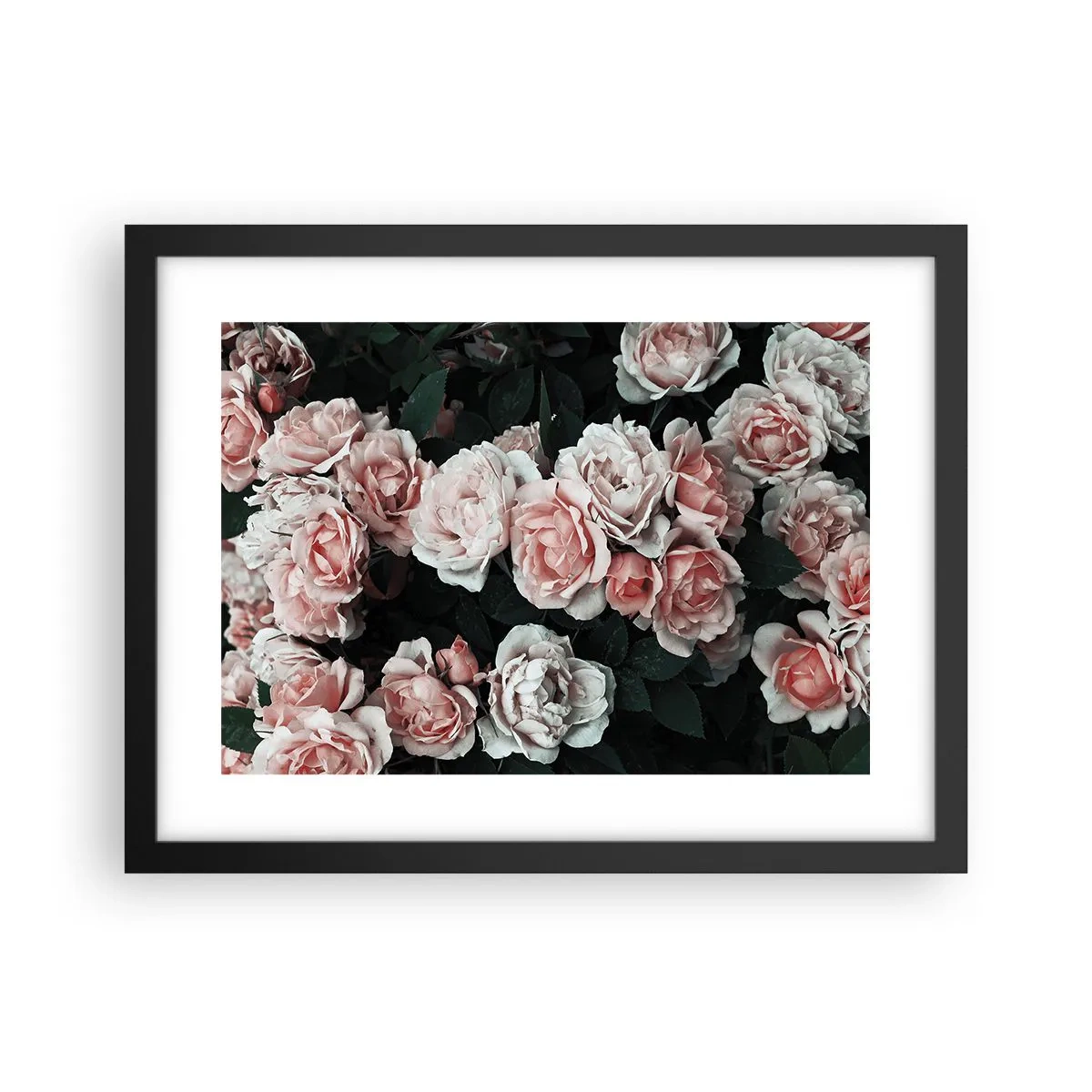 Poster in een zwarte lijst - Rozen ensemble - 40x30 cm
