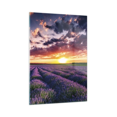 Schilderen op glas - Lavendel wereld - 50x70 cm