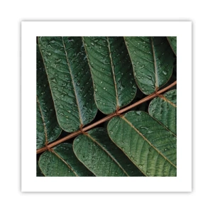 Poster - In een groen ritme - 40x40 cm