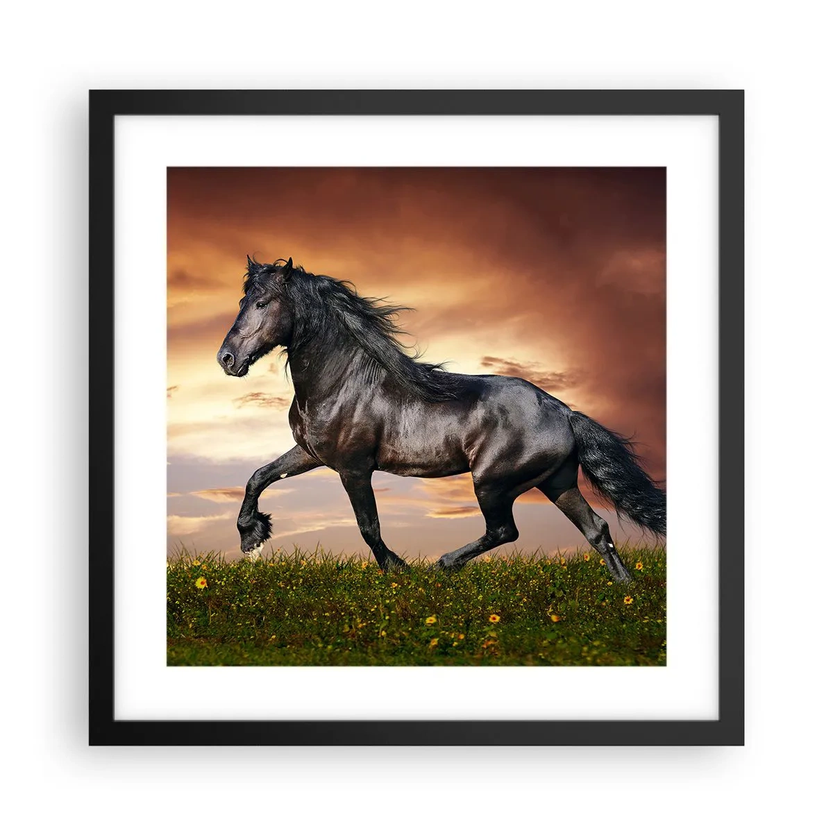 Poster in een zwarte lijst - Zwarte Prins - 40x40 cm