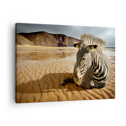 Schilderen op canvas - Een zebra rust uit op een zandstrand met kliffen op de achtergrond. - 70x50cm - Wij passen bij elkaar - Moderne wanddecoratie voor woonkamer en slaapkamer ARTTOR