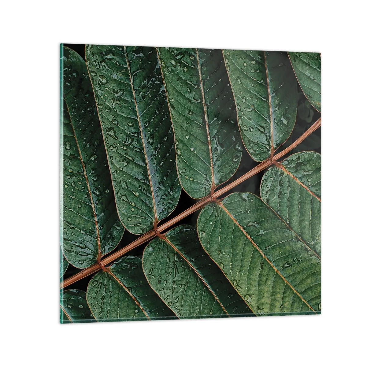 Schilderen op glas - In een groen ritme - 50x50 cm