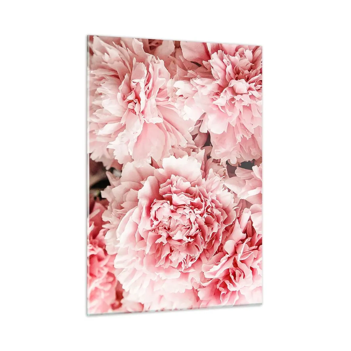 Schilderen op glas - Roze droom - 50x70 cm