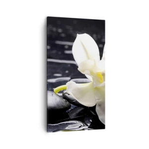 Schilderen op canvas - Een studie in zwart-wit - 45x80 cm