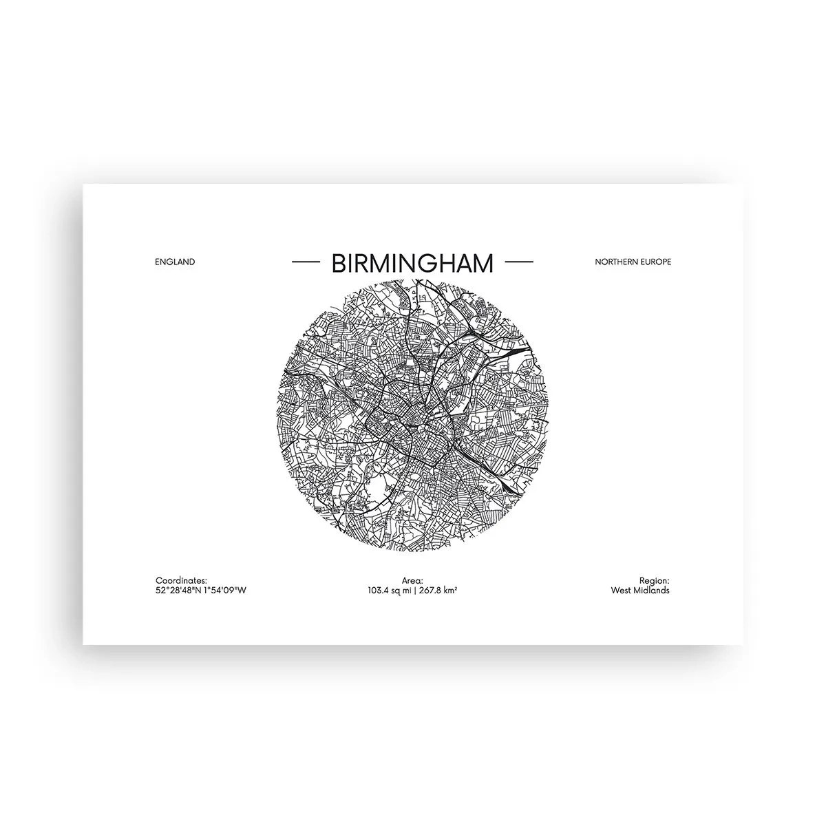 Poster - Anatomie van Birmingham - 100x70 cm