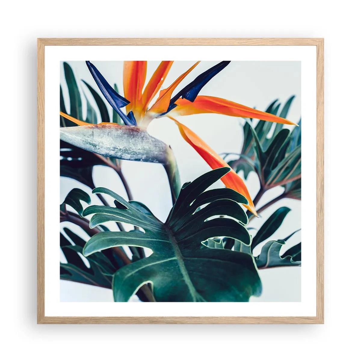 Een poster in een licht eiken lijst - Vogelstruik - 60x60 cm