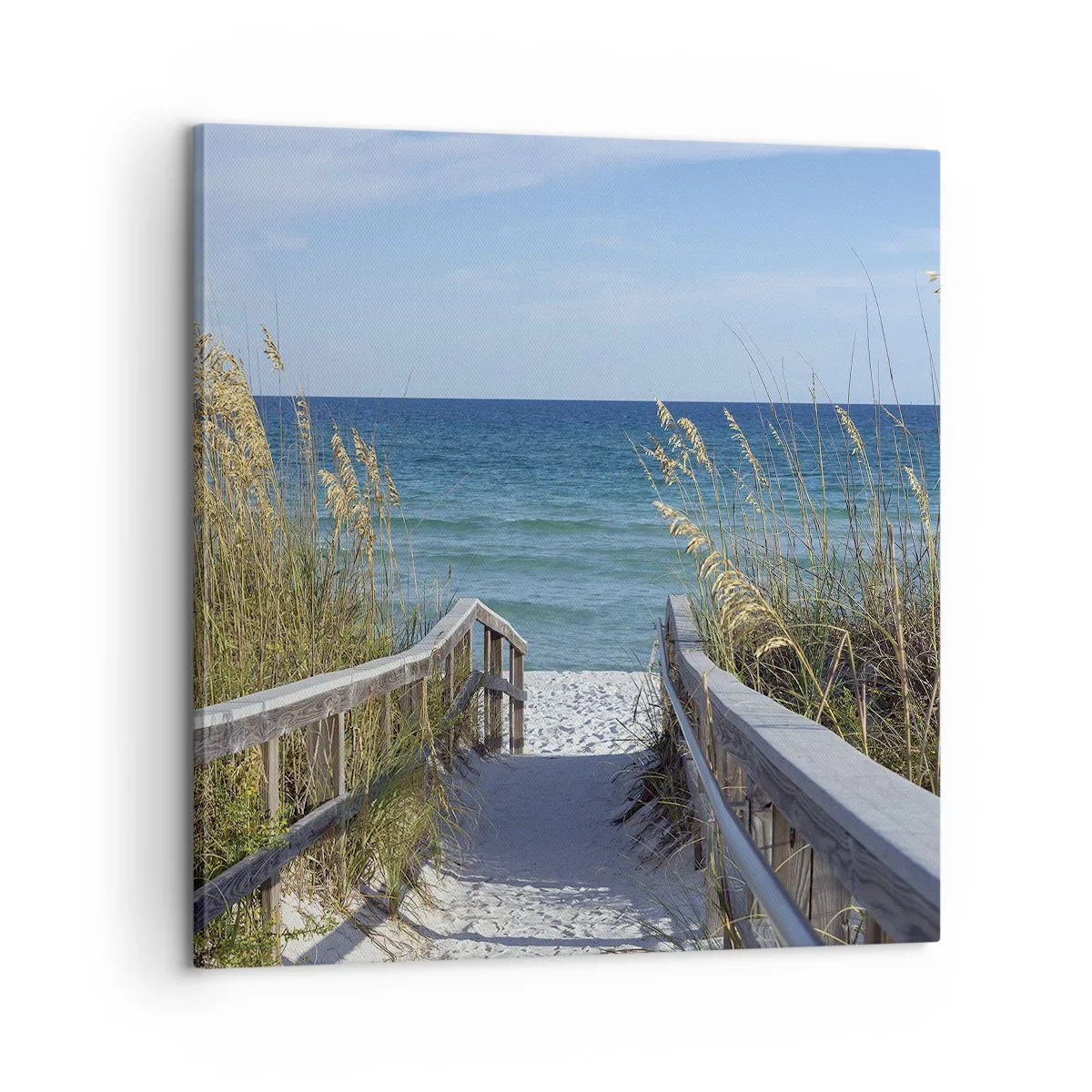 Schilderen op canvas - In de zon, in de wind - 60x60 cm