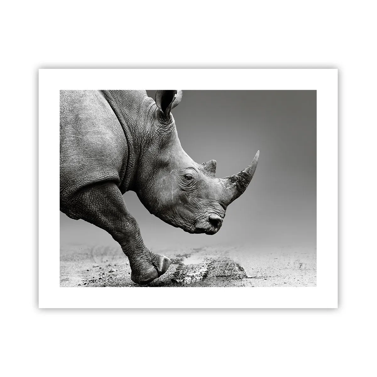 Poster - Onstuitbare kracht - 50x40 cm