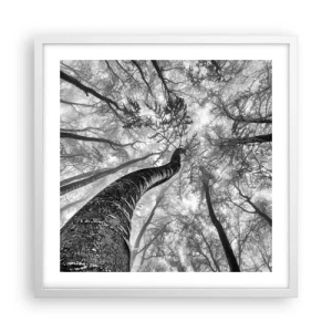 Poster in een witte lijst - Race naar het licht - 50x50 cm