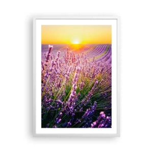 Poster in een witte lijst - Geurige korenvelden - 50x70 cm