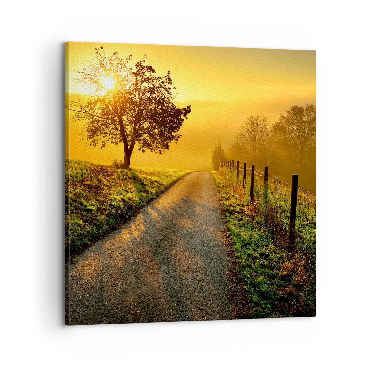 Schilderen op canvas - Honingmiddag - 60x60 cm