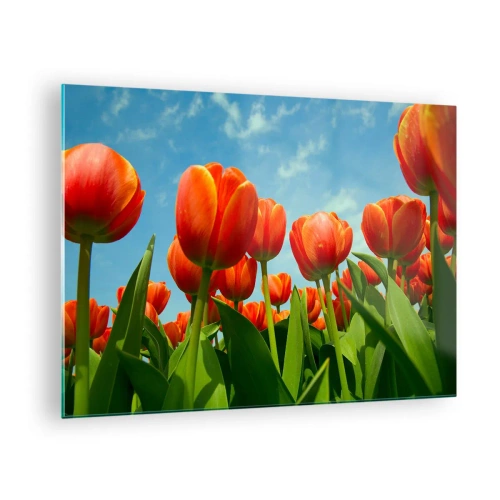 Schilderen op glas - Een veld met rode tulpen onder een blauwe lucht - 70x50cm - Afgezien van de blauwe lucht hebben ze niets nodig in hun leven - Moderne wanddecoratie voor woonkamer en slaapkamer ARTTOR
