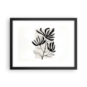 Poster in een zwarte lijst - Schets voor het herbarium - 40x30 cm