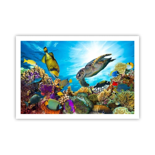 Poster - Koraalpromenade - 91x61 cm