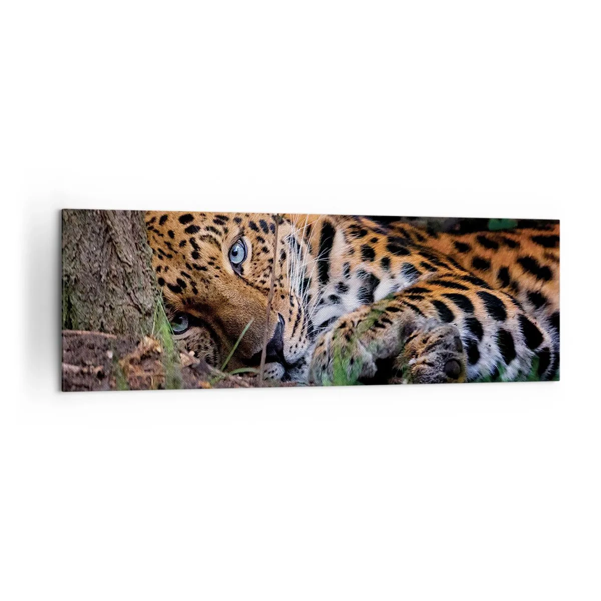 Schilderen op canvas - Geloof me - 160x50 cm