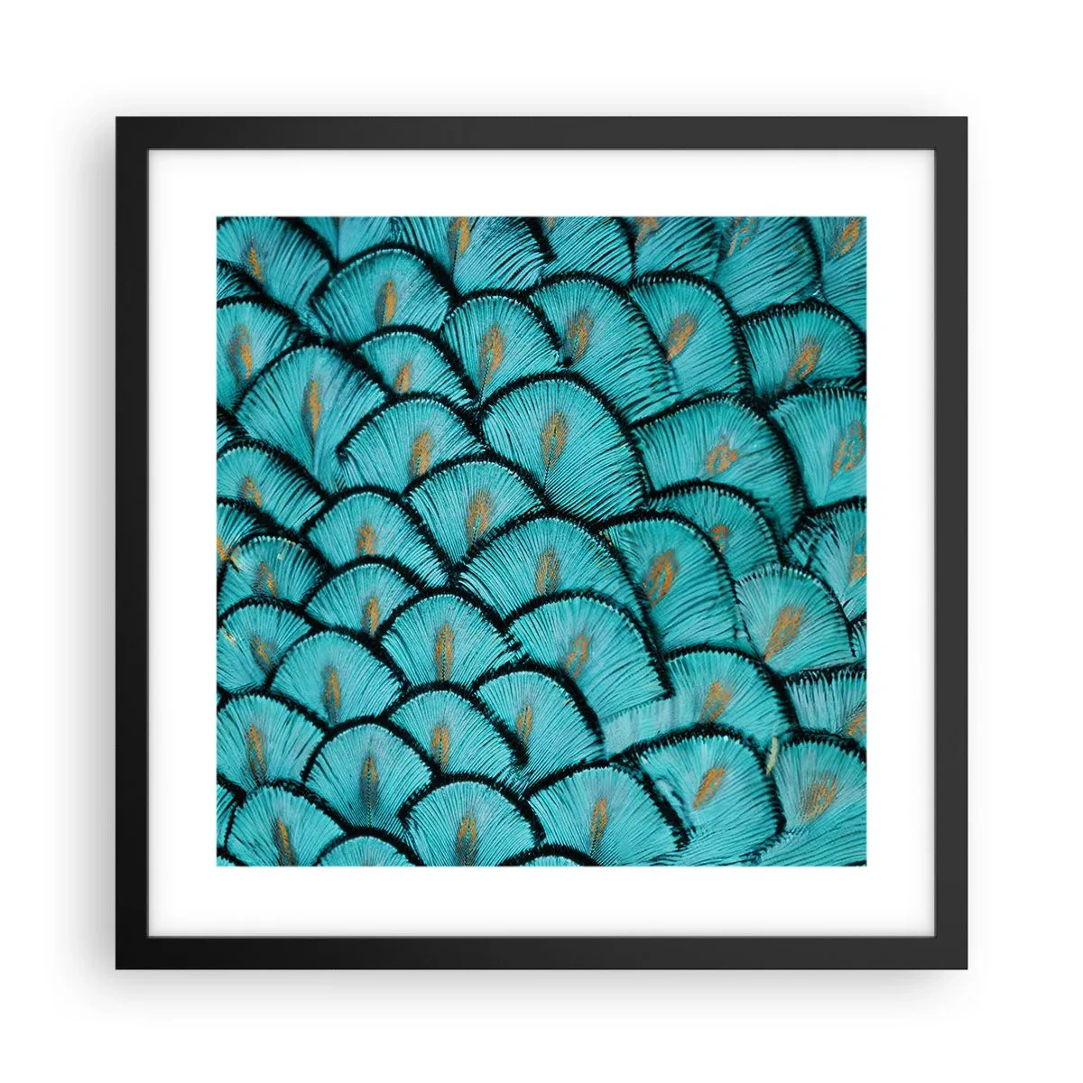 Poster in een zwarte lijst - Het grote verengala - 40x40 cm