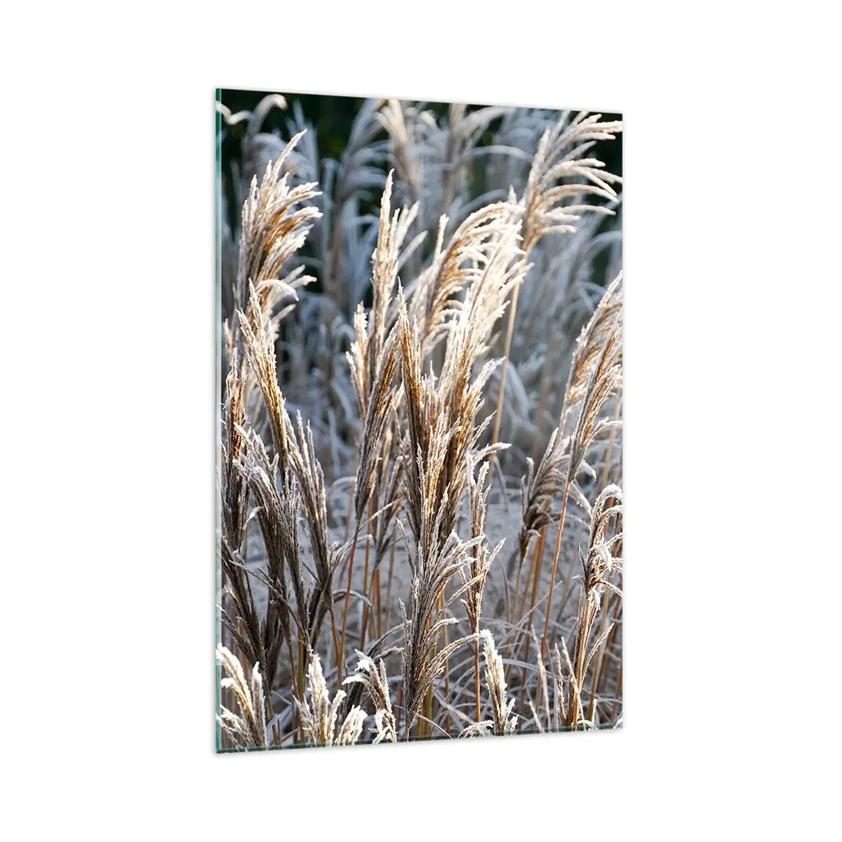 Schilderen op glas - Gekleed met vorst - 80x120 cm