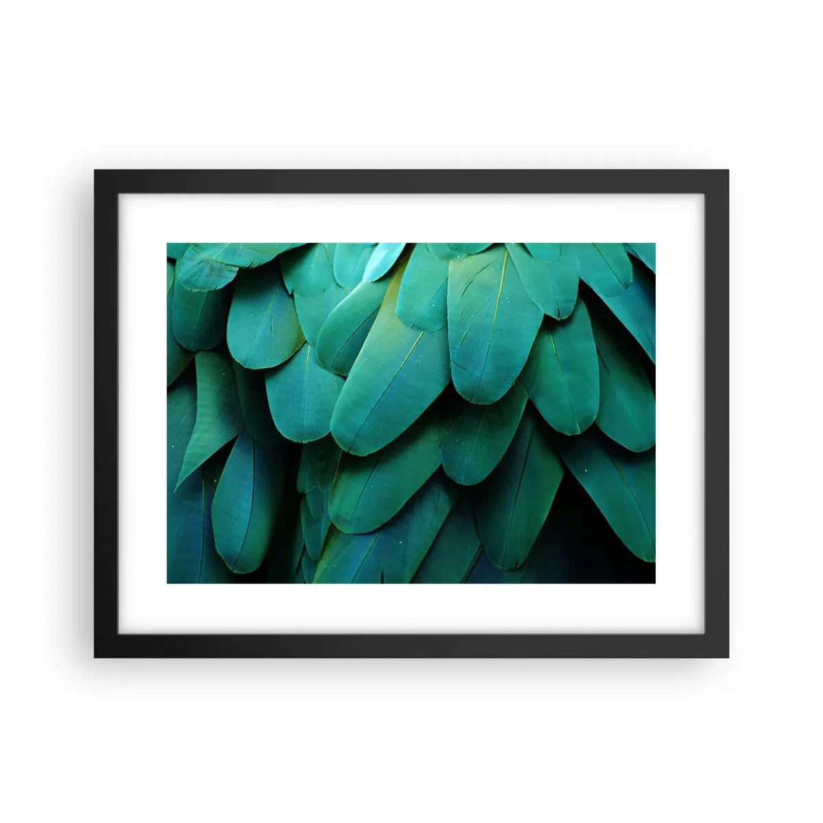 Poster in een zwarte lijst - Papegaaiachtige precisie - 40x30 cm