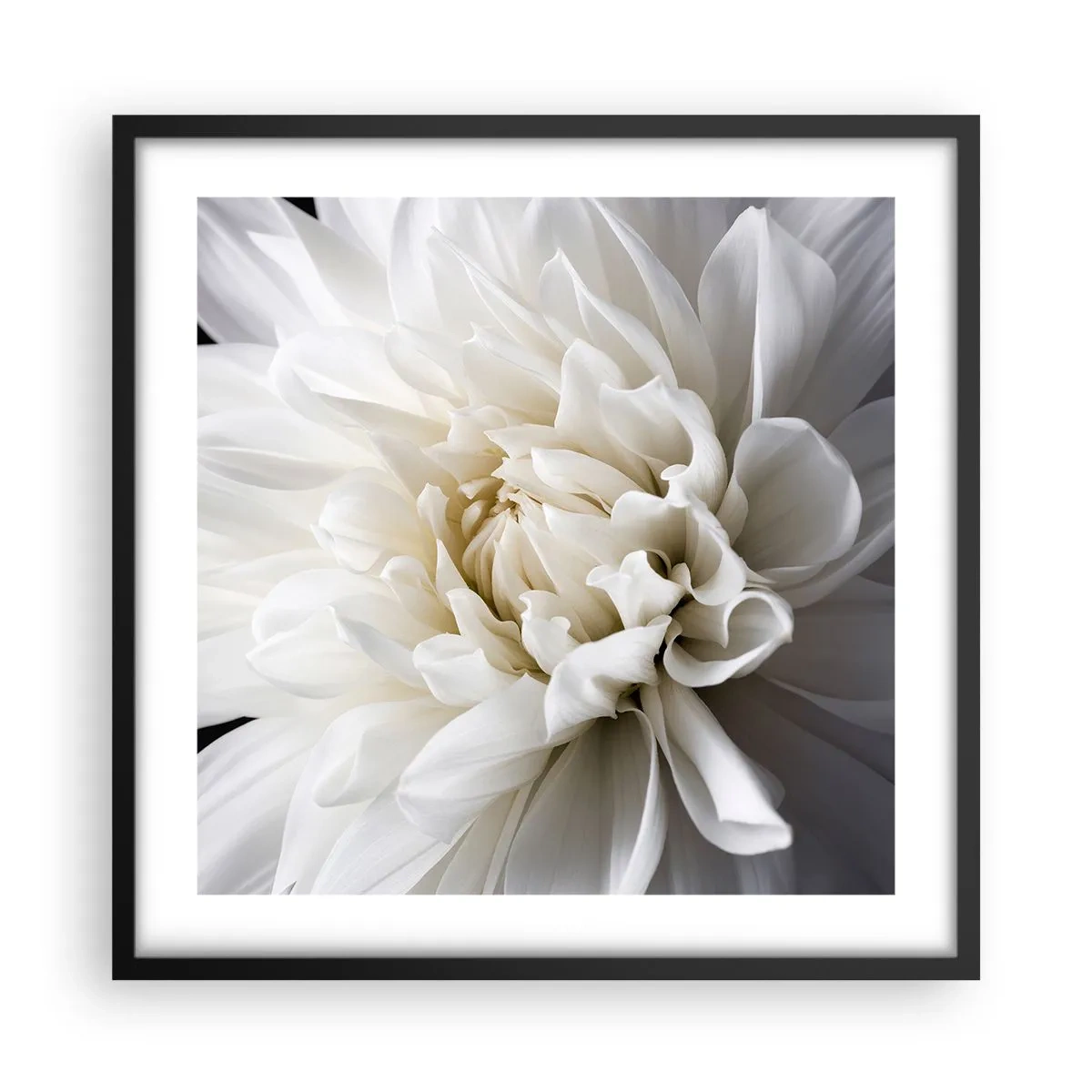 Poster in een zwarte lijst - Ochtend van de bruid - 50x50 cm