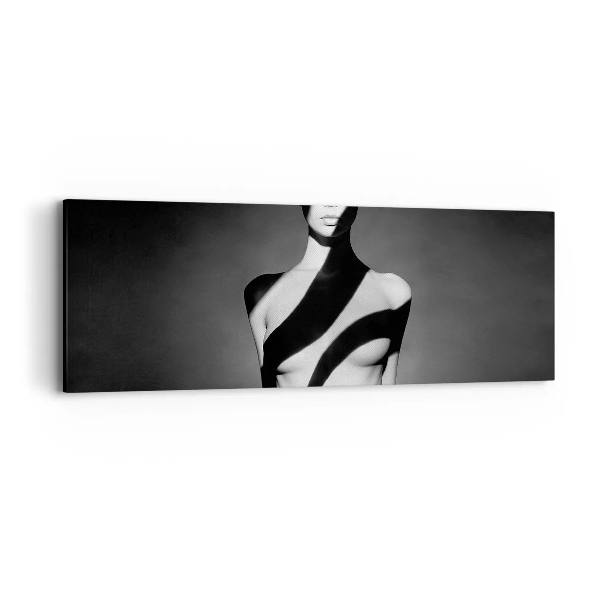 Schilderen op canvas - In glans en schaduw - 90x30 cm