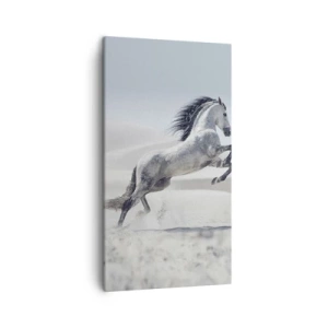 Schilderen op canvas - Arabische prins - 45x80 cm