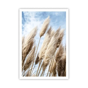 Poster - Zonnige en winderige streling - 70x100 cm