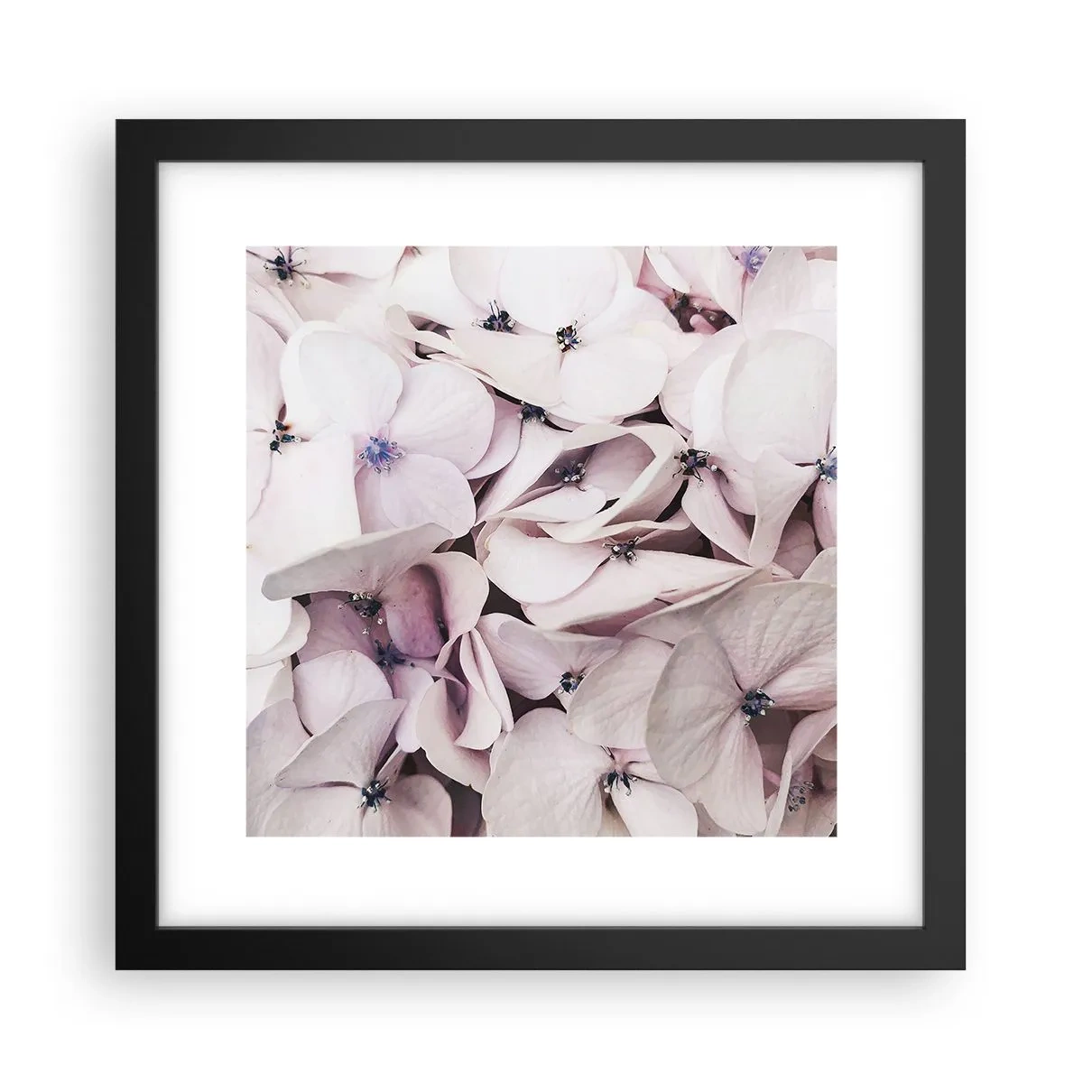 Poster in een zwarte lijst - In een vloed van bloemen - 30x30 cm