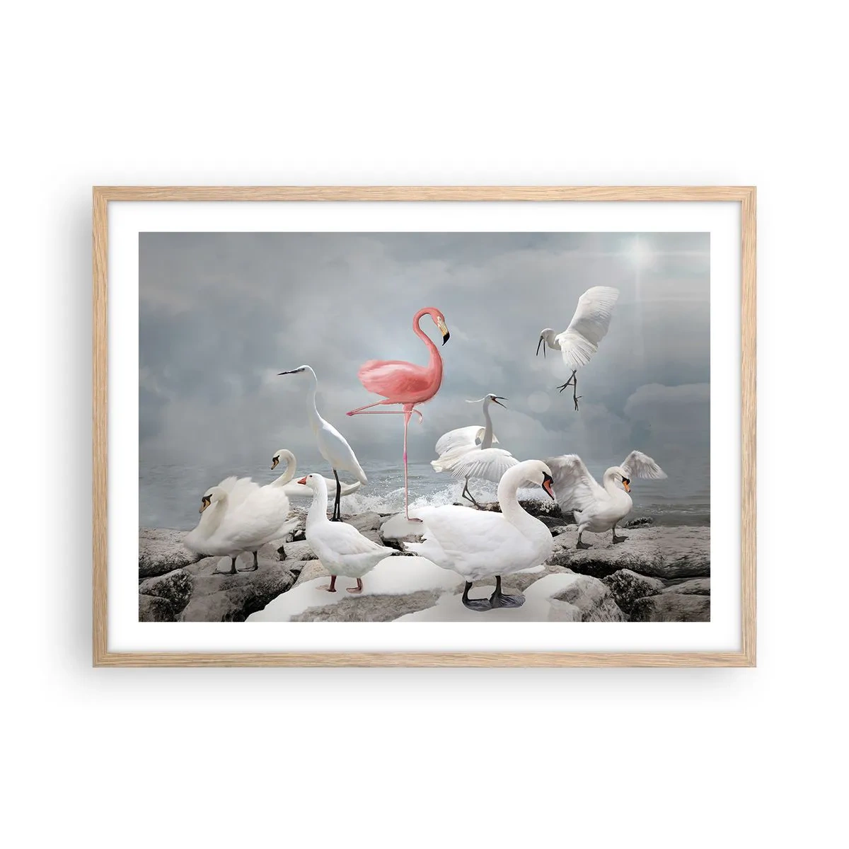 Een poster in een licht eiken lijst - Hoe ben ik hier terecht gekomen? - 70x50 cm